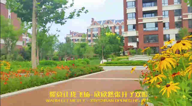 春意盎然 · 韶光淑气～东风和煦 · 万物复苏